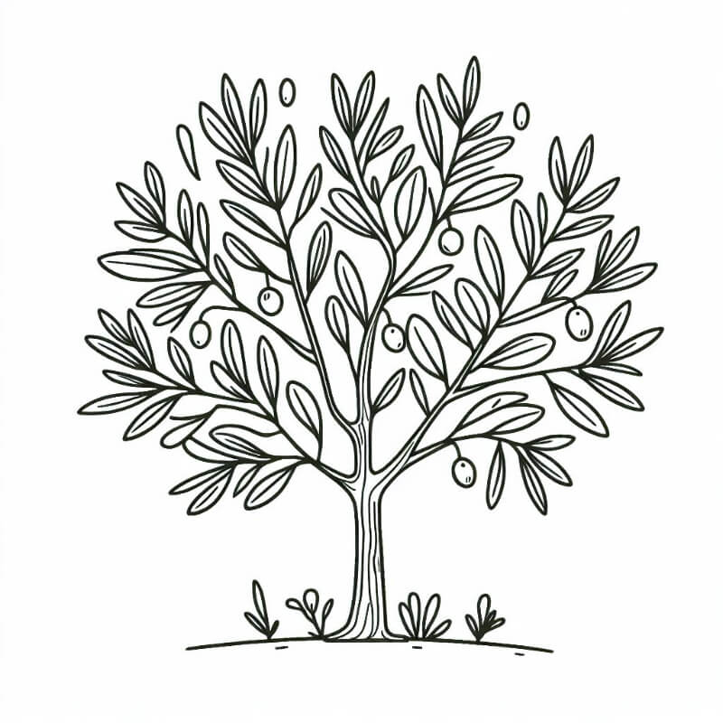 �� ����� ������