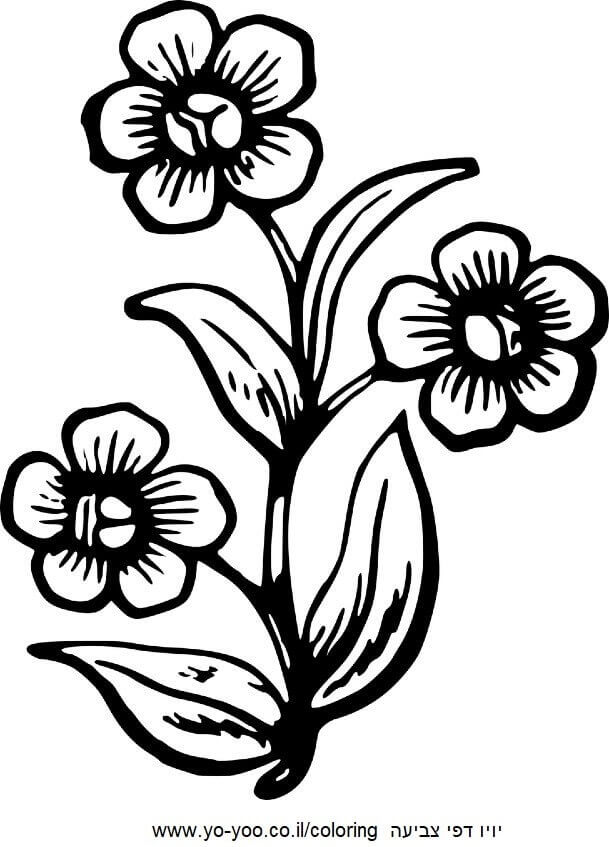 �� ����� �� �����