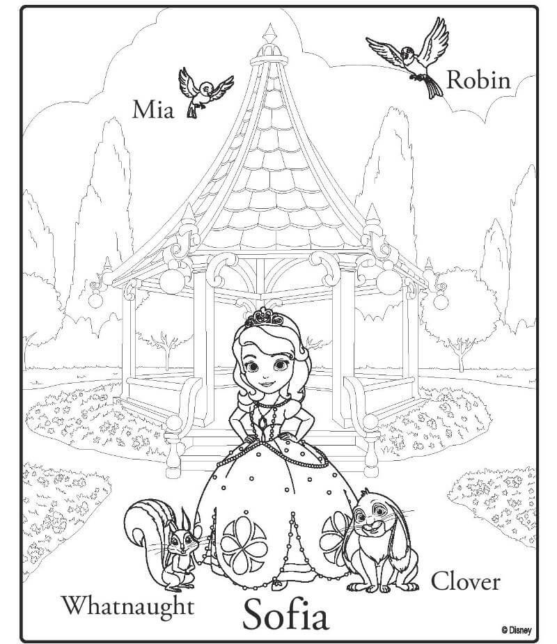 הנסיכה סופיה לצביעה הנסיכה סופיה לצביעה