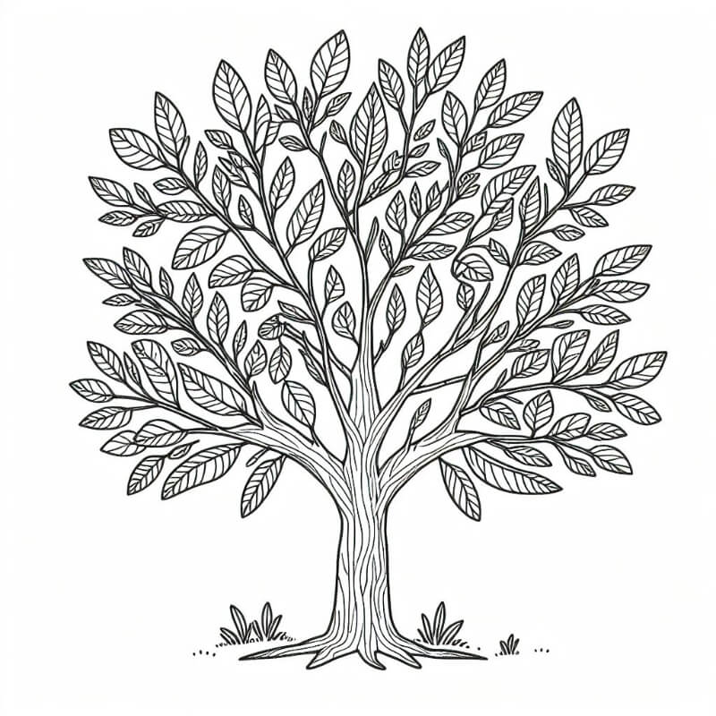 �� ���� ������