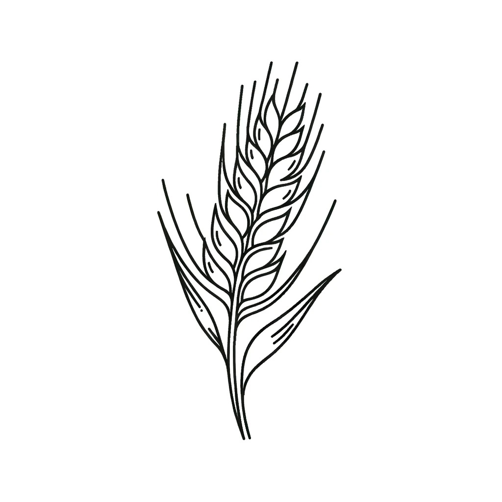 דף צביעה של שעורה דף צביעה של שעורה