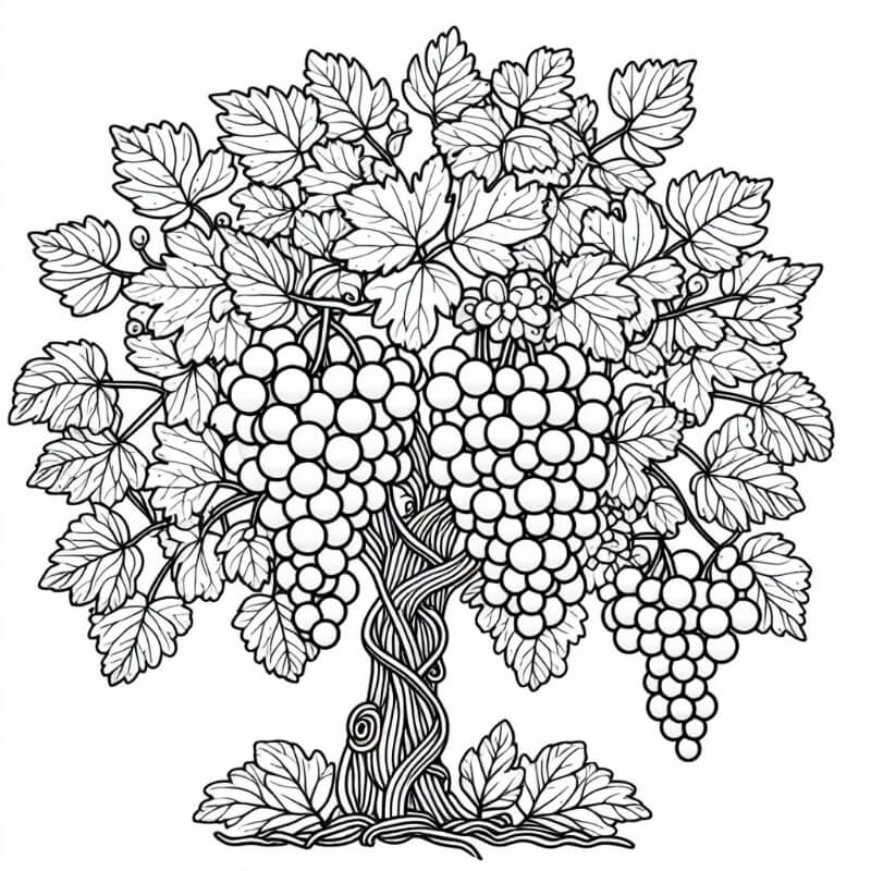 �� ����� �� �� �����