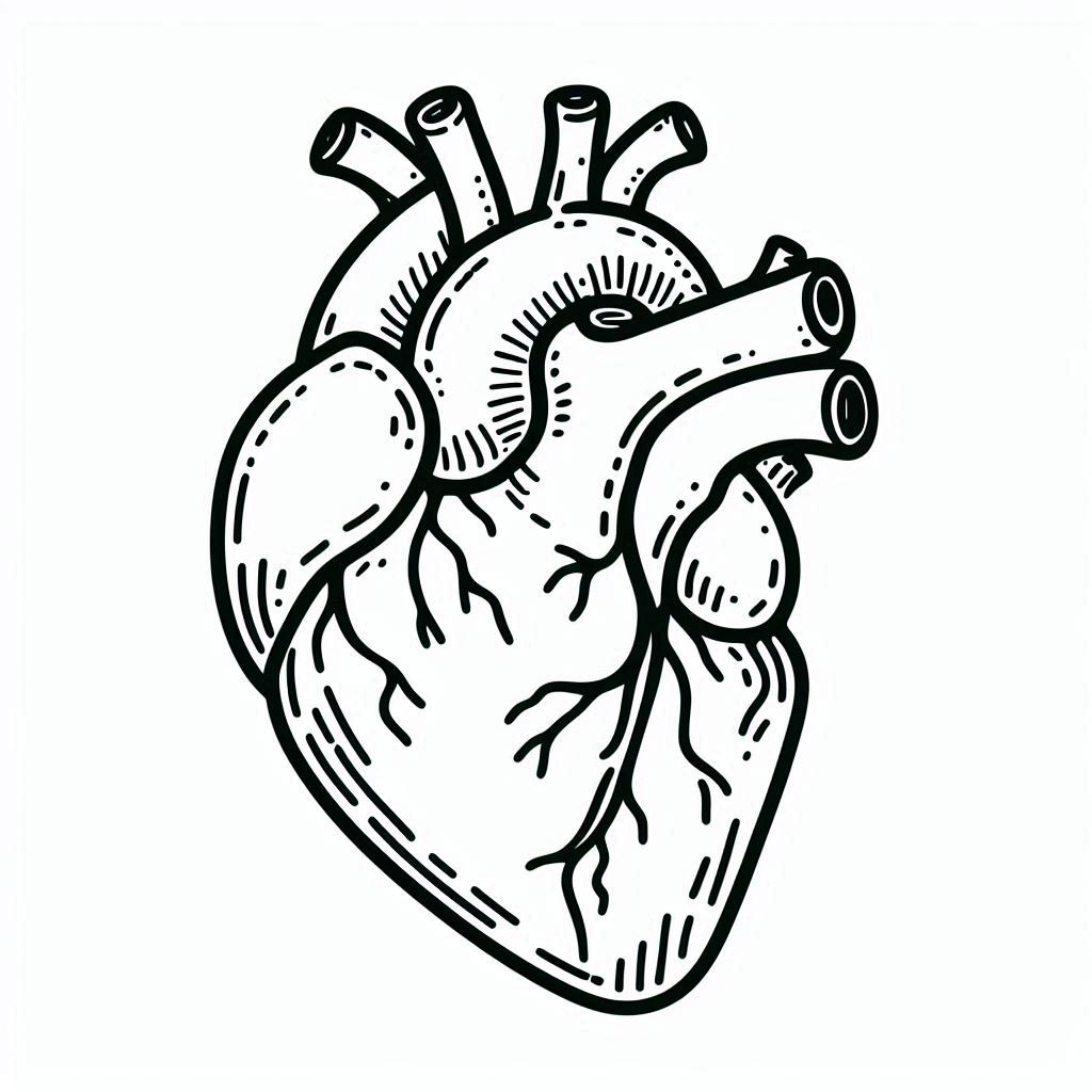 �� ����� �� �� ����