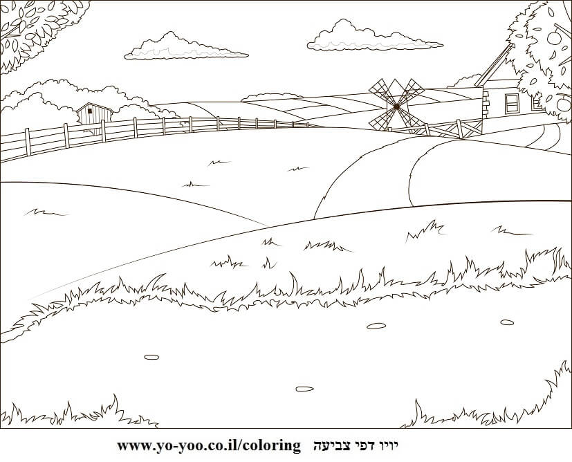 אחו חווה לצביעה אחו חווה לצביעה