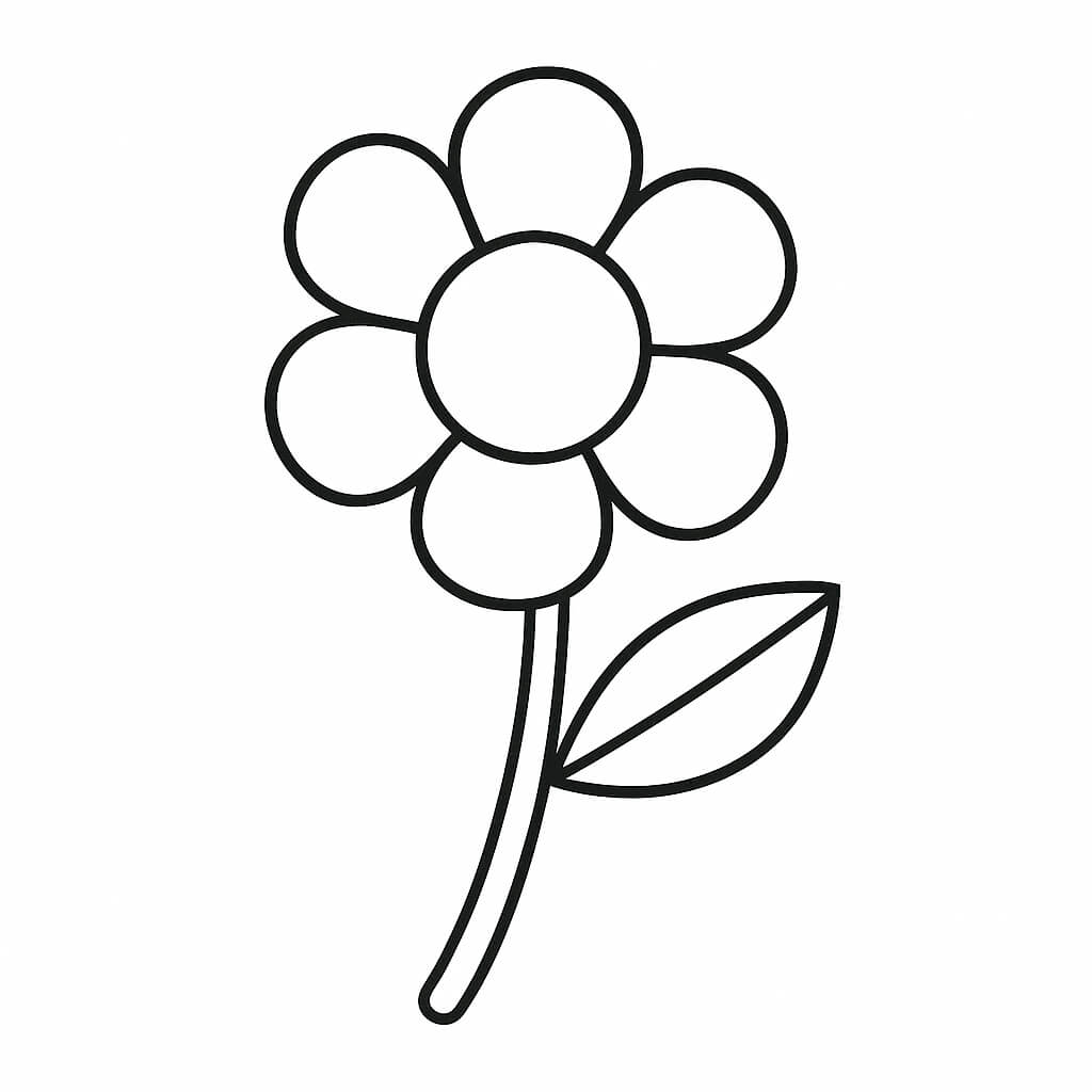 �� ����� ����� ������ - ���� �� ����� 