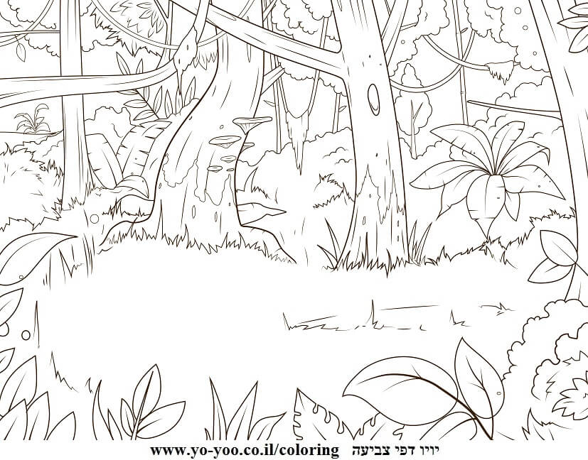 יער ריק לצביעה יער ריק לצביעה
