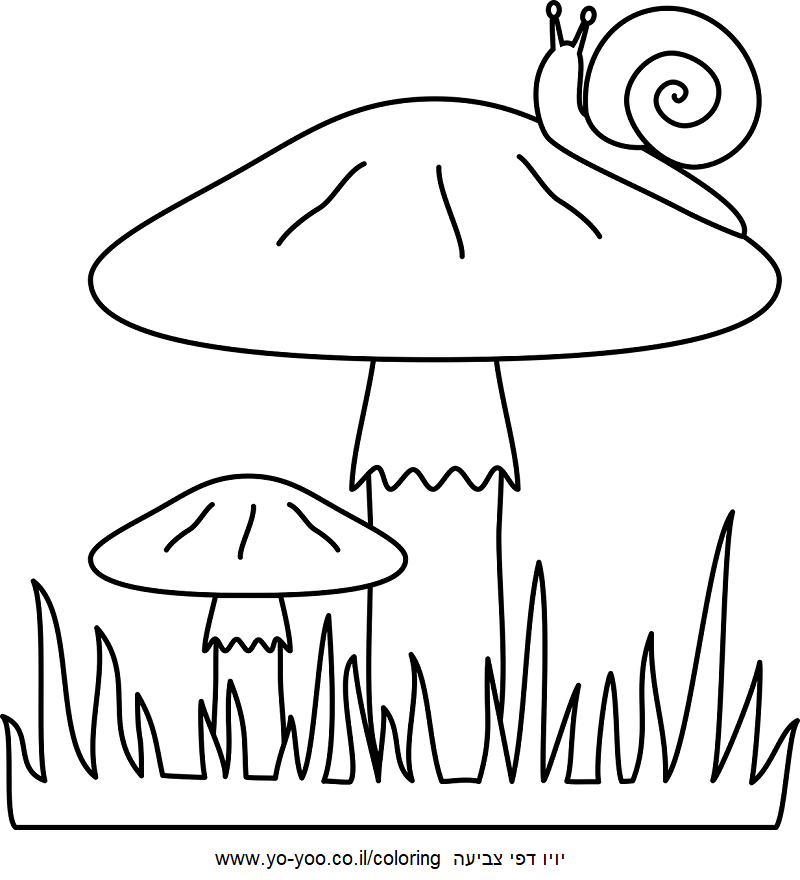 ����� �� �����