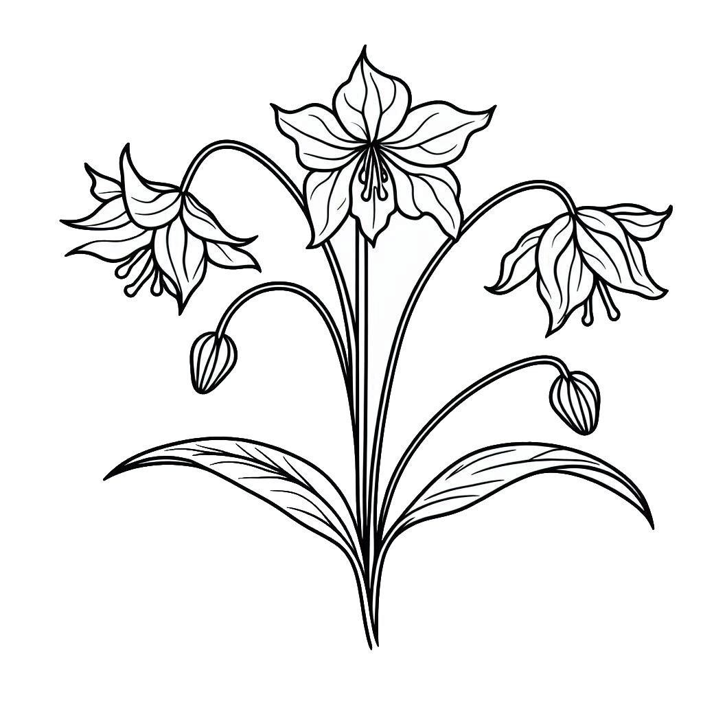 דף צביעה של נרקיס דף צביעה של נרקיס