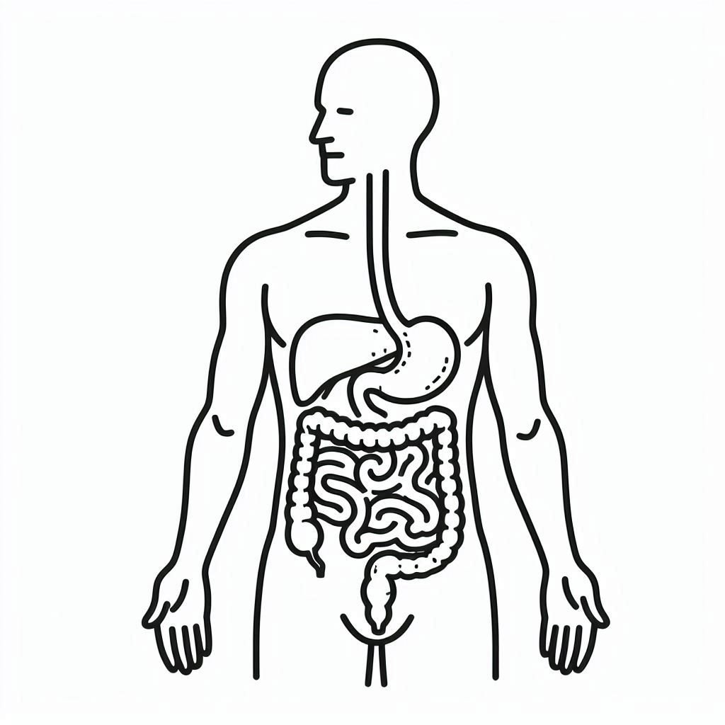 �� ����� �� ����� ������