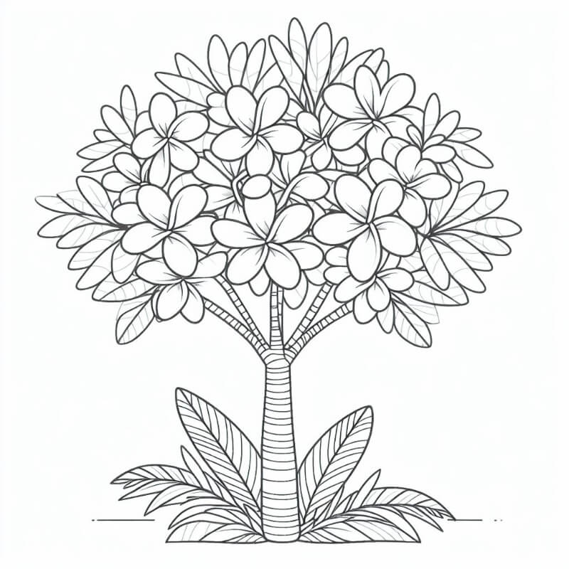 �� ����� ������� ������