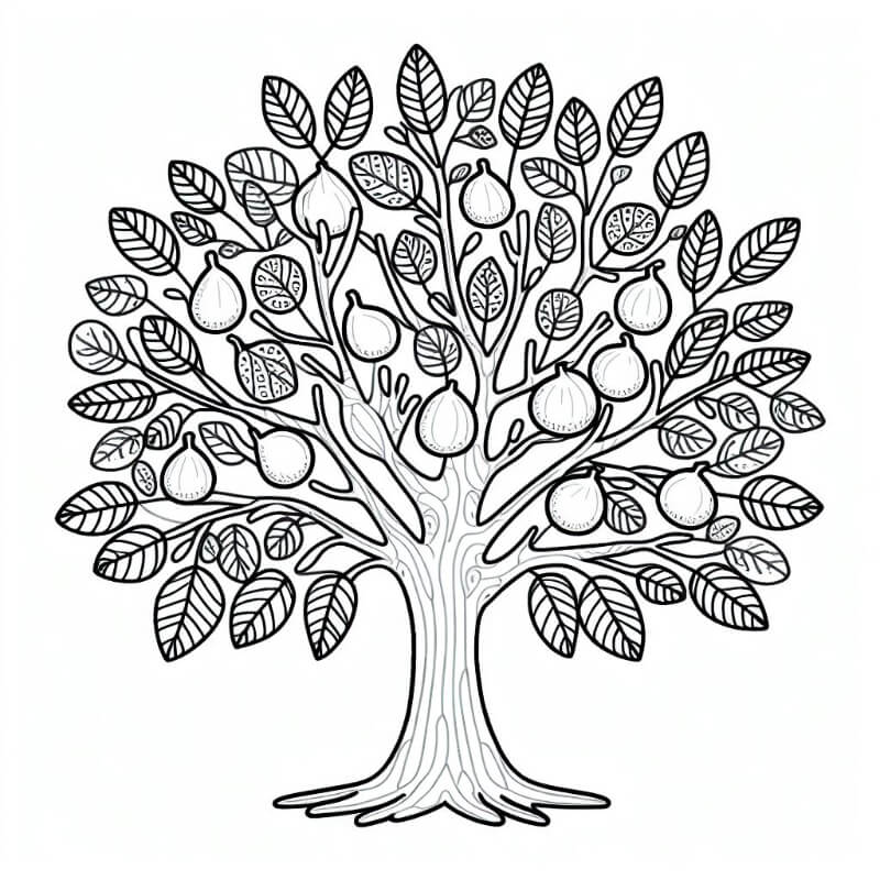 �� ����� ������