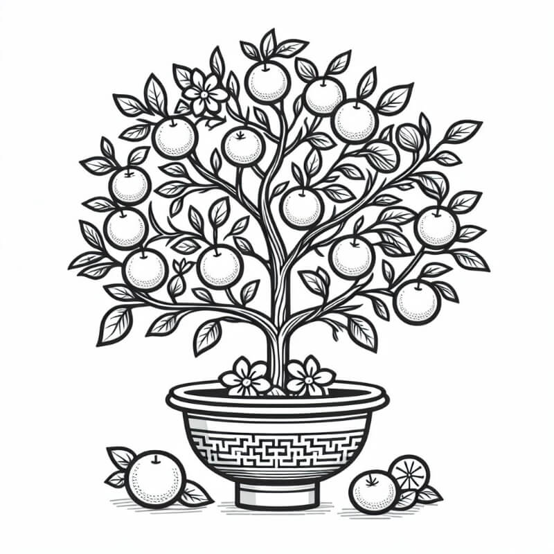 �� ���� ���� ������