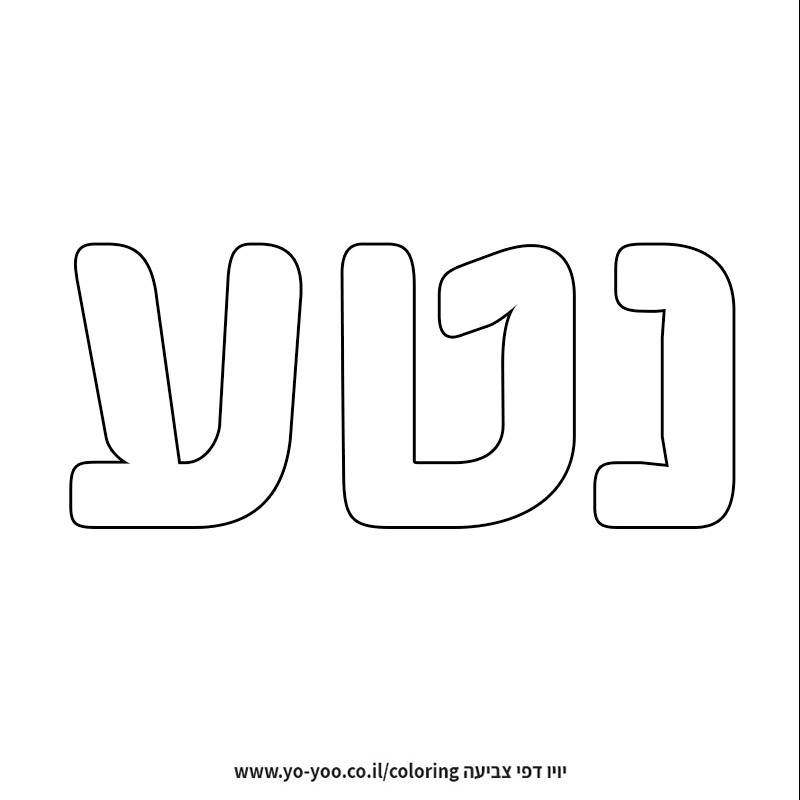 �� ����� �� ��� ���