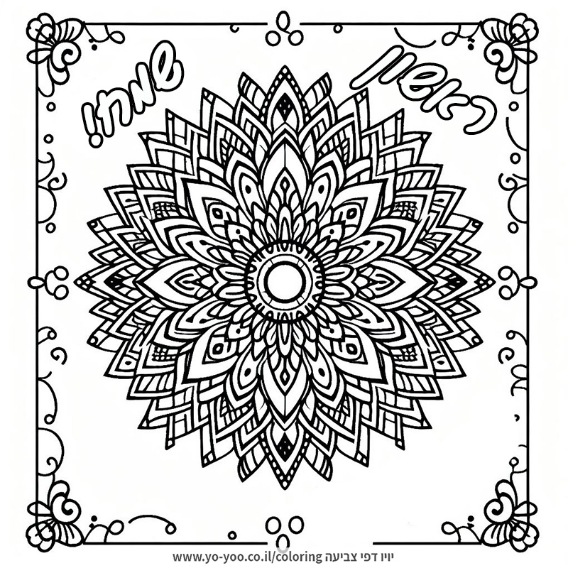 ����� ���� ����� ������