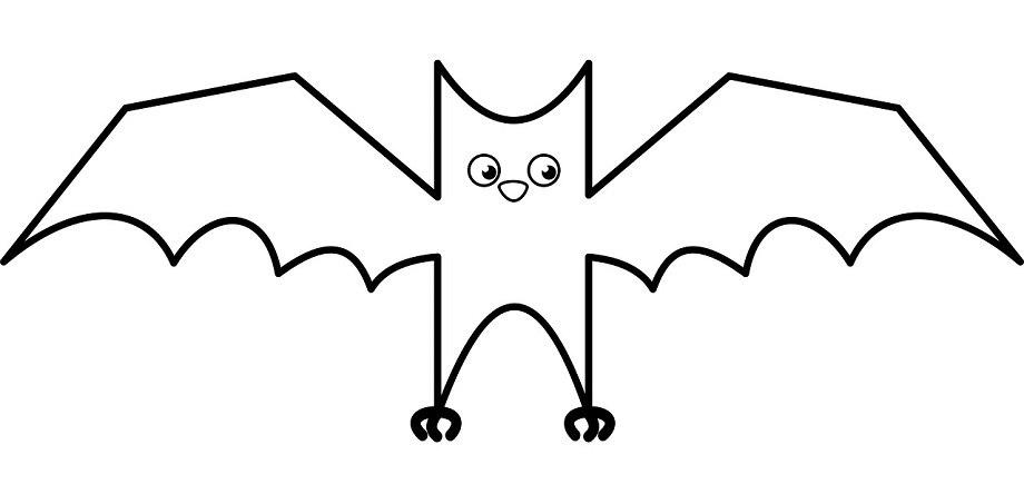 דף צביעה עטלף דף צביעה עטלף