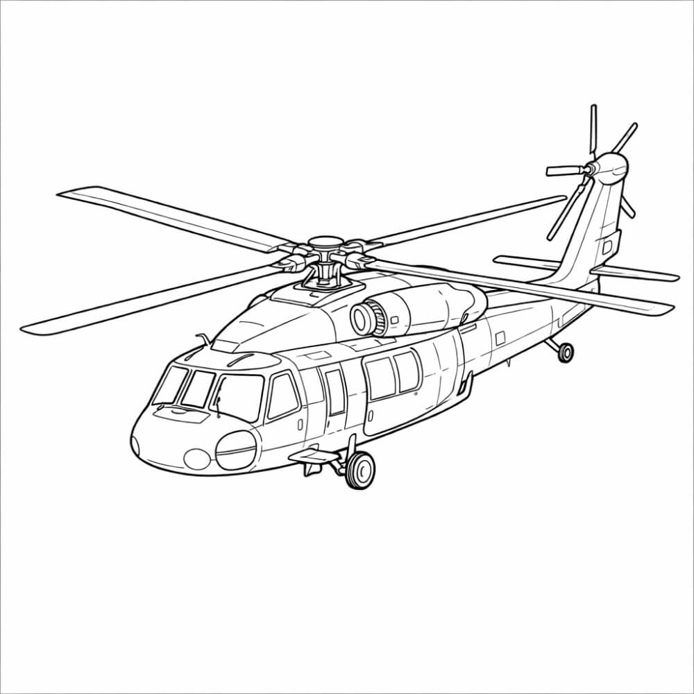 ���� ���� ��� ������