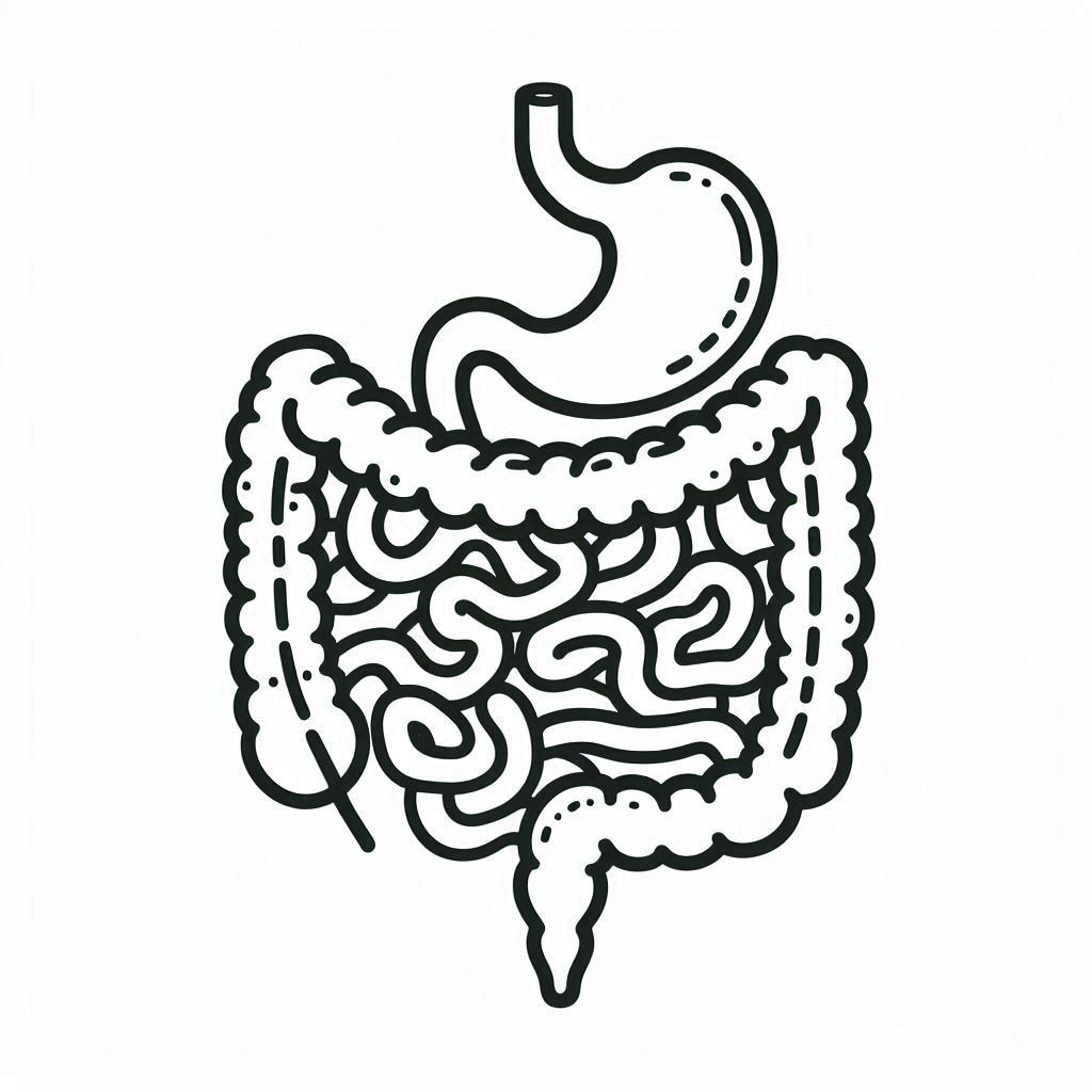 ����� ������ ������