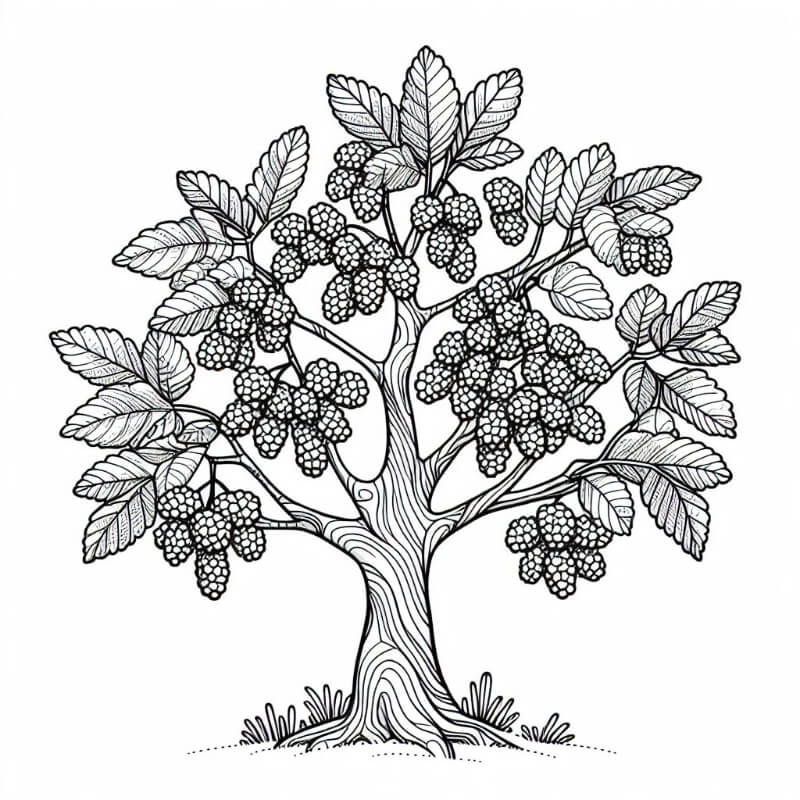 �� ��� ������