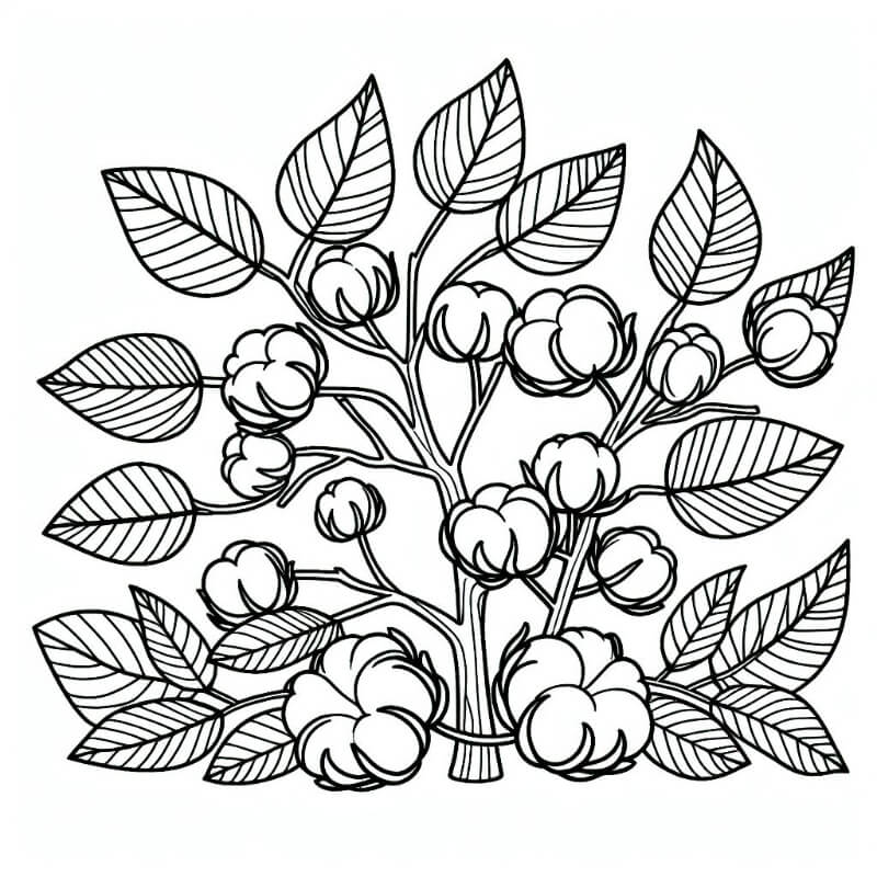 �� ����� ������