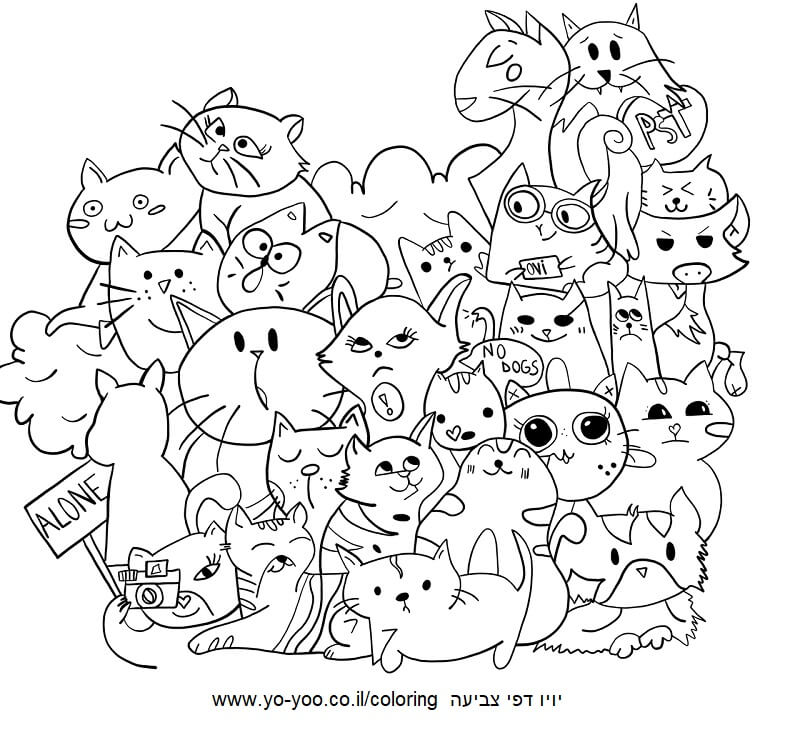 דף צביעה חתולים דף צביעה חתולים