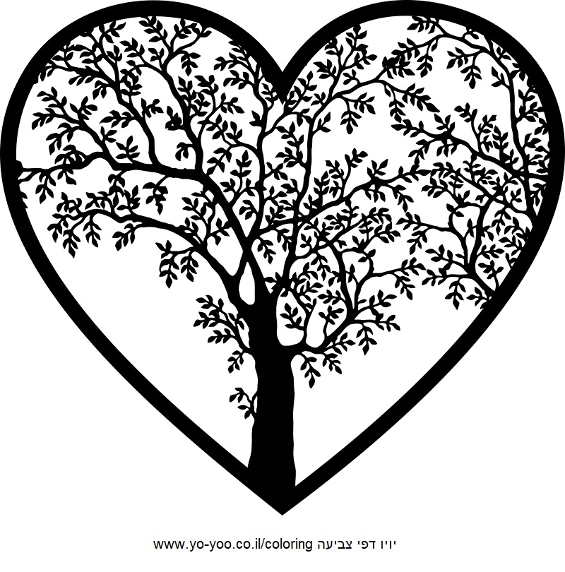 ����� �� ���� ������