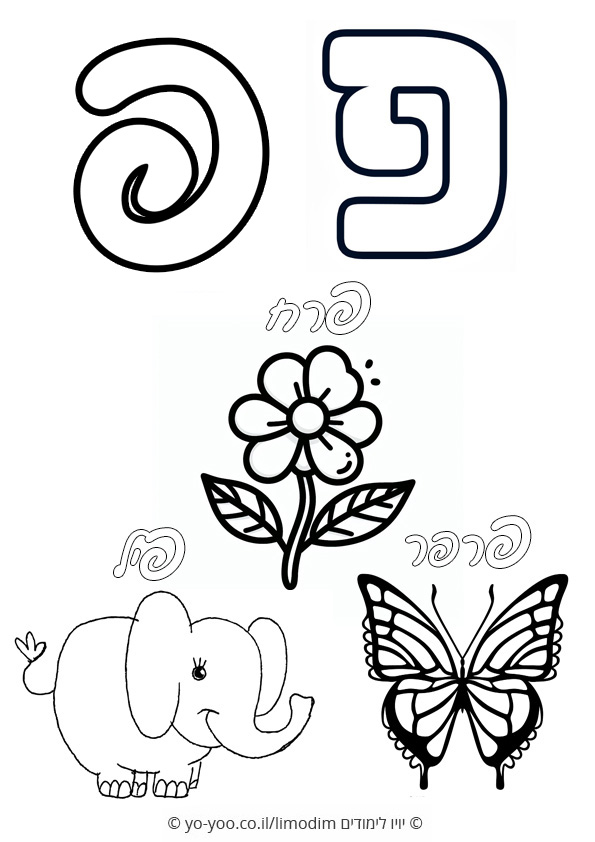 ���� � ���� ���� �� ������