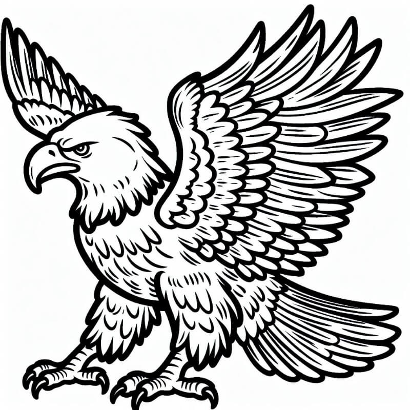 �� ����� �� ���