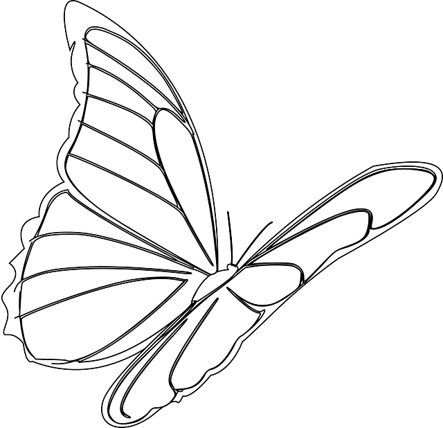 דף צביעה פרפר יפה דף צביעה פרפר יפה