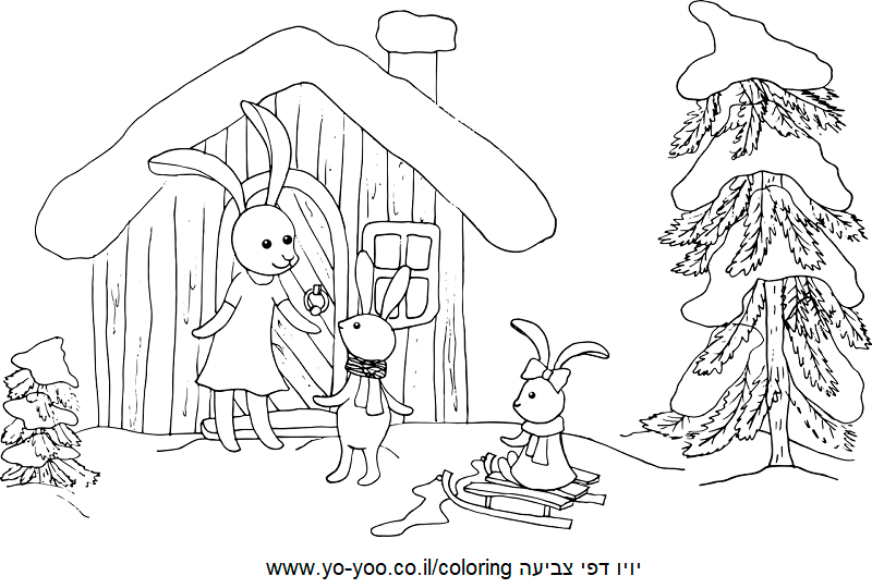 ארנבים משחקים בחורף ארנבים משחקים בחורף