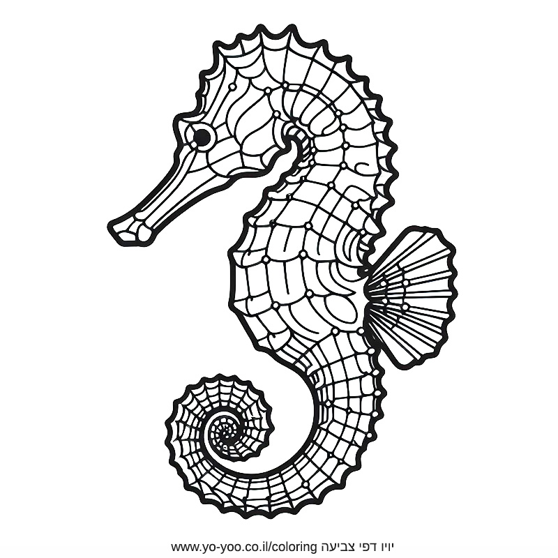 ����� �� ��� ����� ������