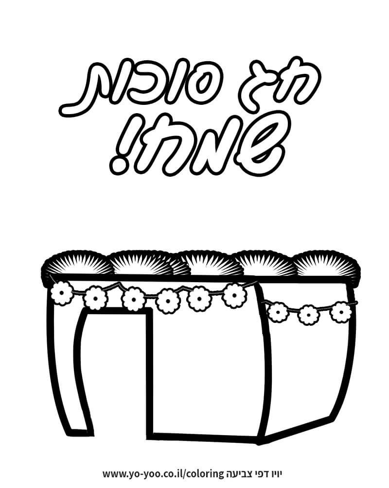 סוכה לצביעה סוכה לצביעה