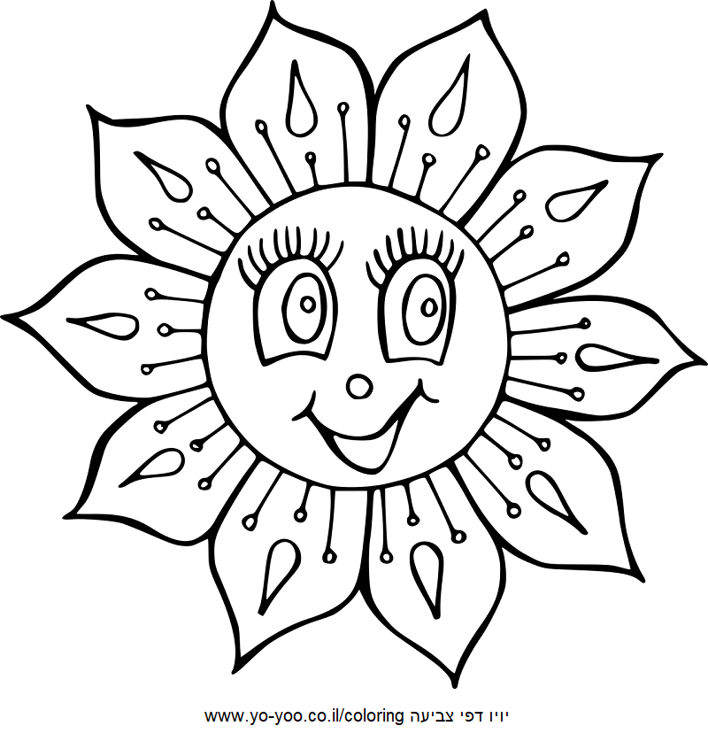 פרח שמח לצביעה פרח שמח לצביעה