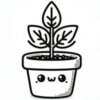 ��� ����� ��� ����