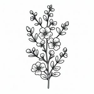 �� ����� �� ����� ���