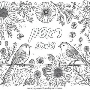 �� ����� �� ��� �����