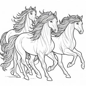 �� ����� �� ����� ������