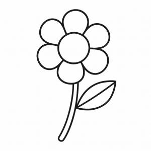 �� ����� ����� ������ - ���� �� ����� 