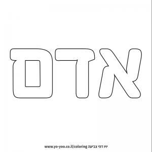 �� ����� �� ��� ���