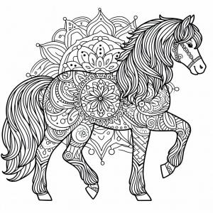 �� ����� �� ����� ���