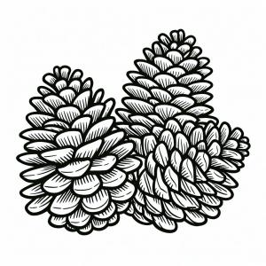 �� ����� �� �������