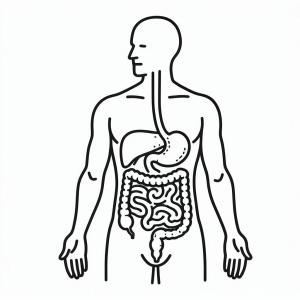 �� ����� �� ����� ������