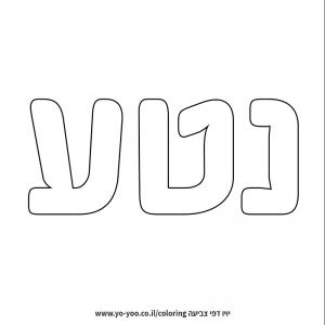 �� ����� �� ��� ���