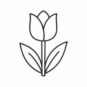 �� ����� ��� �� ������