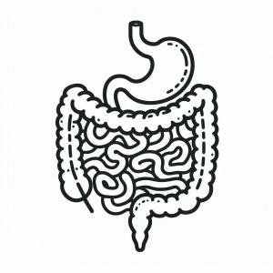 ����� ������ ������