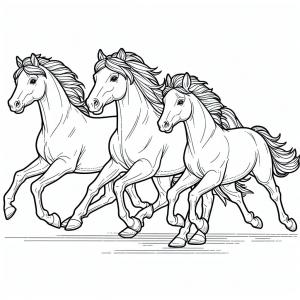 �� ����� �� ����� ����