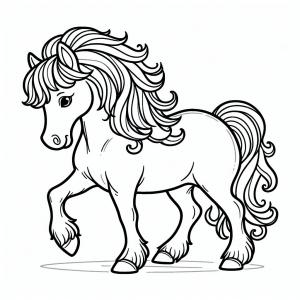 �� ����� �� ���