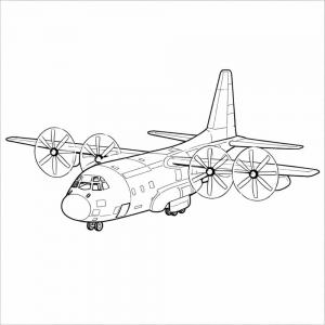 ���� ����� ������ ������