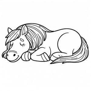 �� ����� �� ��� ���