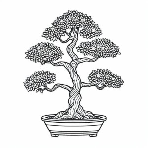 �� ������ ������