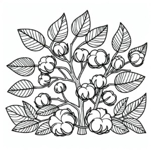 �� ����� ������